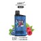 IGET Bar 3500 - Blueberry Raspberry Disposable Vape 3500 Puffs